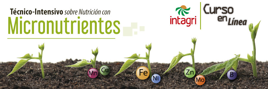 Seminario Virtual Micronutrientes Para Las Plantas Inicio Intagri S C